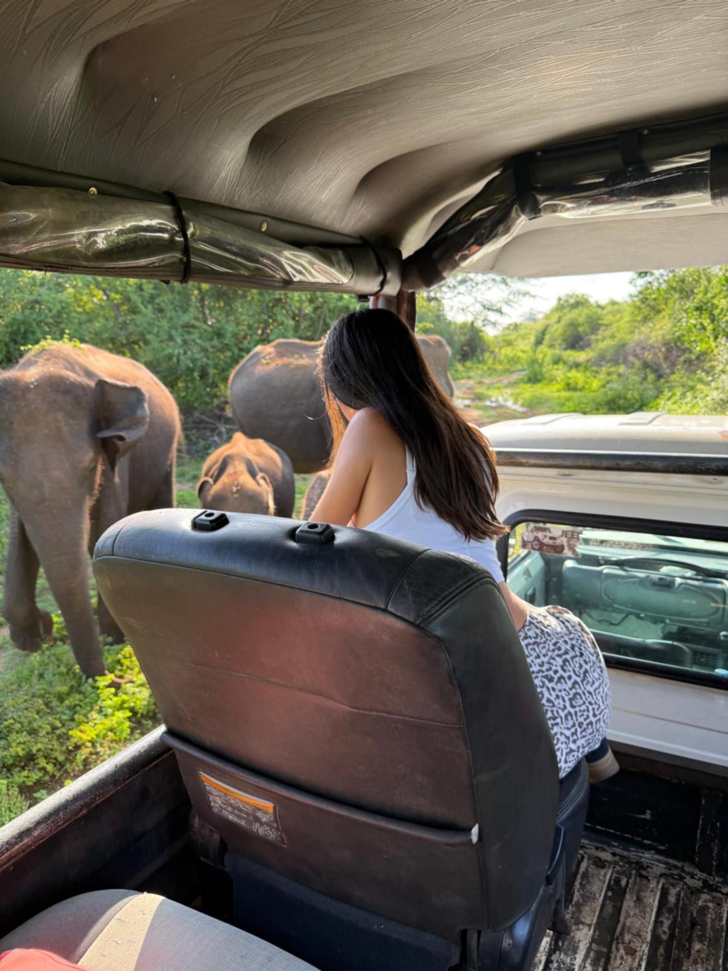Chill House Safari Resort Udawalawe Luaran gambar