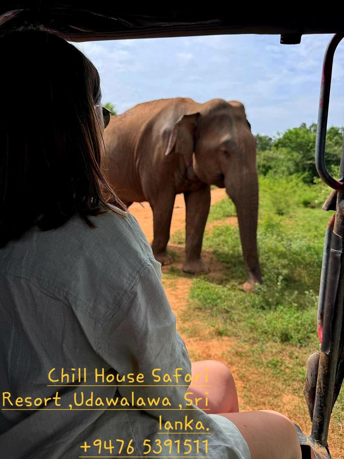 Chill House Safari Resort Udawalawe Luaran gambar